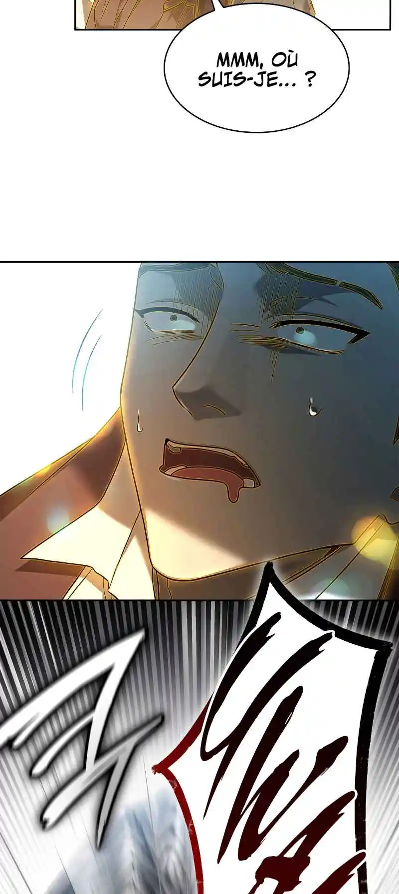Read The Infinite Mage FR Manga Online