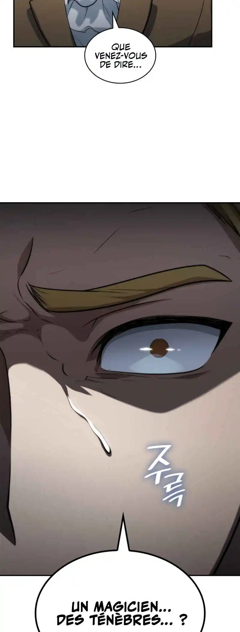 Read The Infinite Mage FR Manga Online