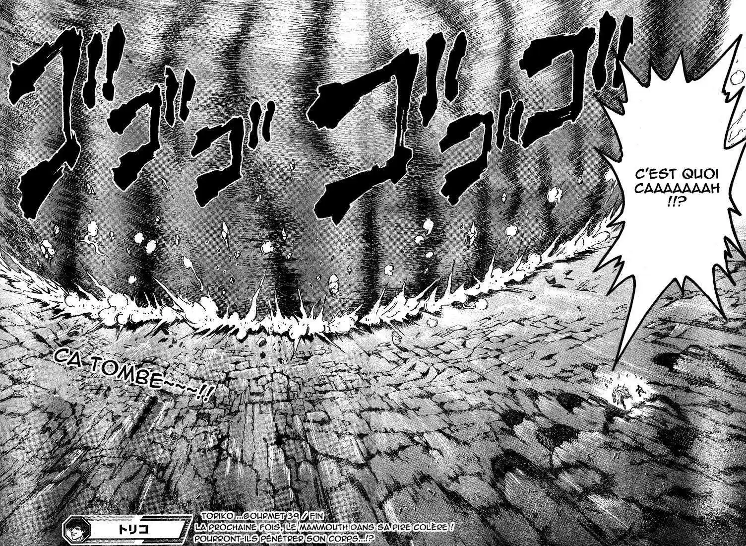 Read Toriko FR Manga Online
