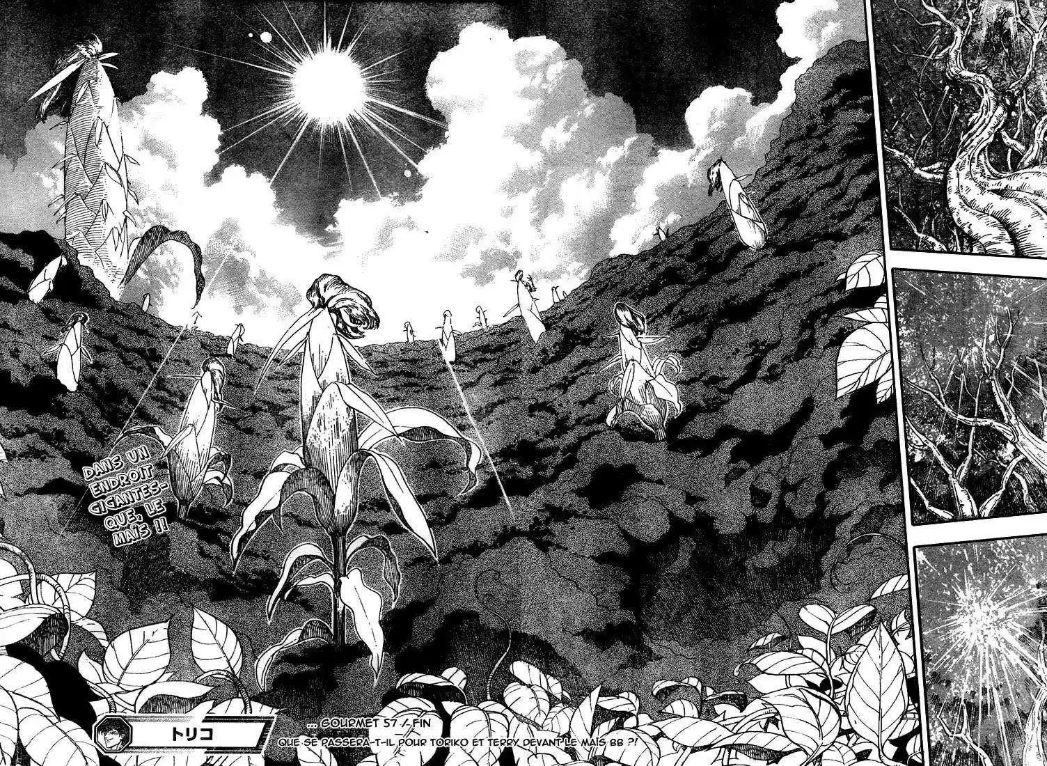 Read Toriko FR Manga Online