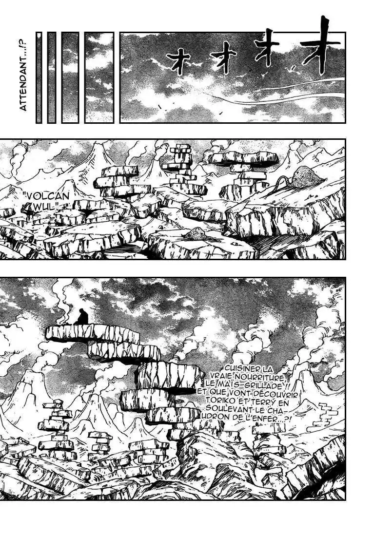 Read Toriko FR Manga Online