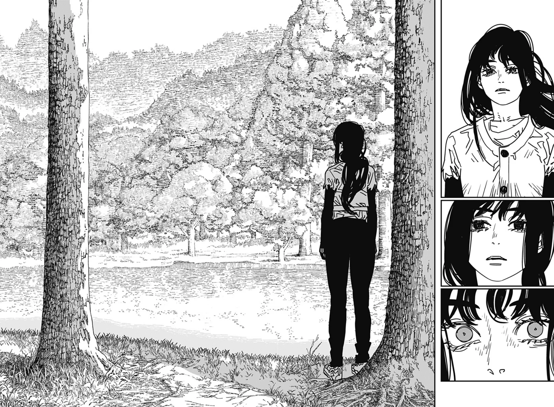 Read Chainsaw Man pt_BR Manga Online