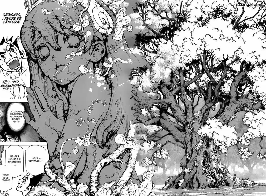 Read Dr. Stone pt_BR Manga Online