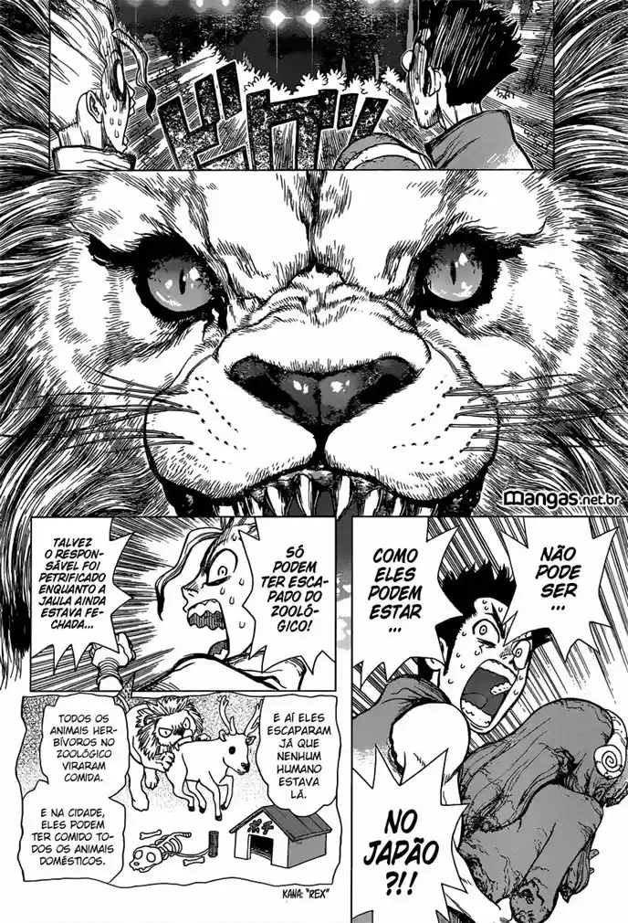 Read Dr. Stone pt_BR Manga Online