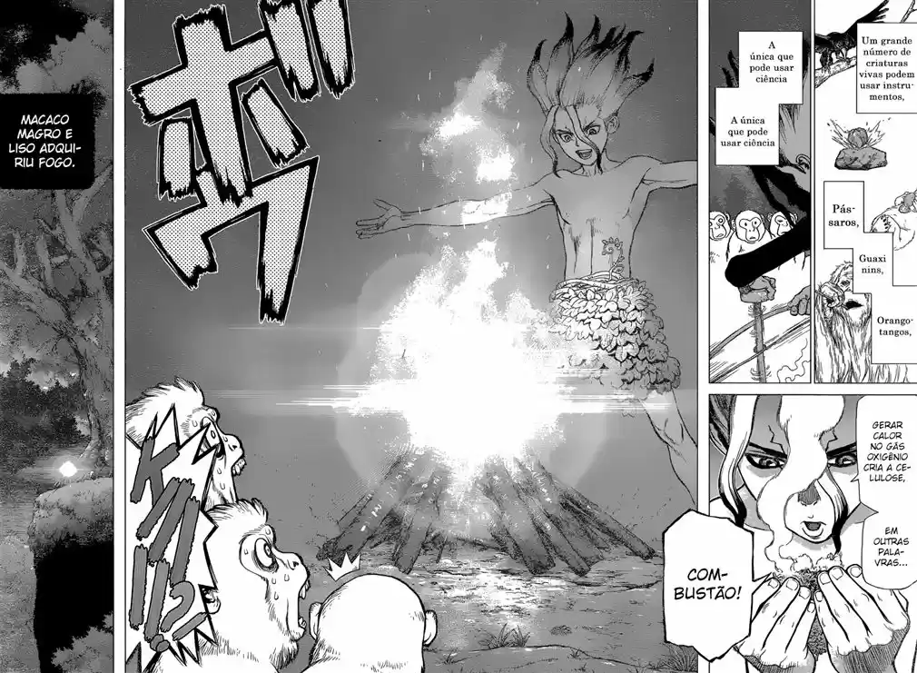 Read Dr. Stone pt_BR Manga Online