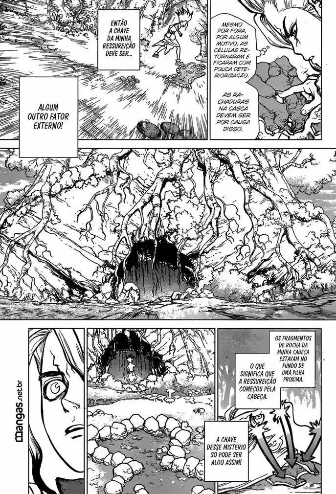 Read Dr. Stone pt_BR Manga Online