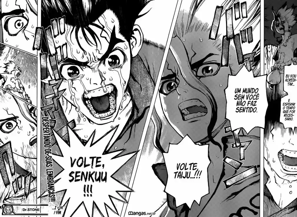 Read Dr. Stone pt_BR Manga Online