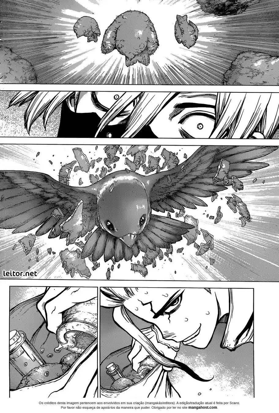 Read Dr. Stone pt_BR Manga Online