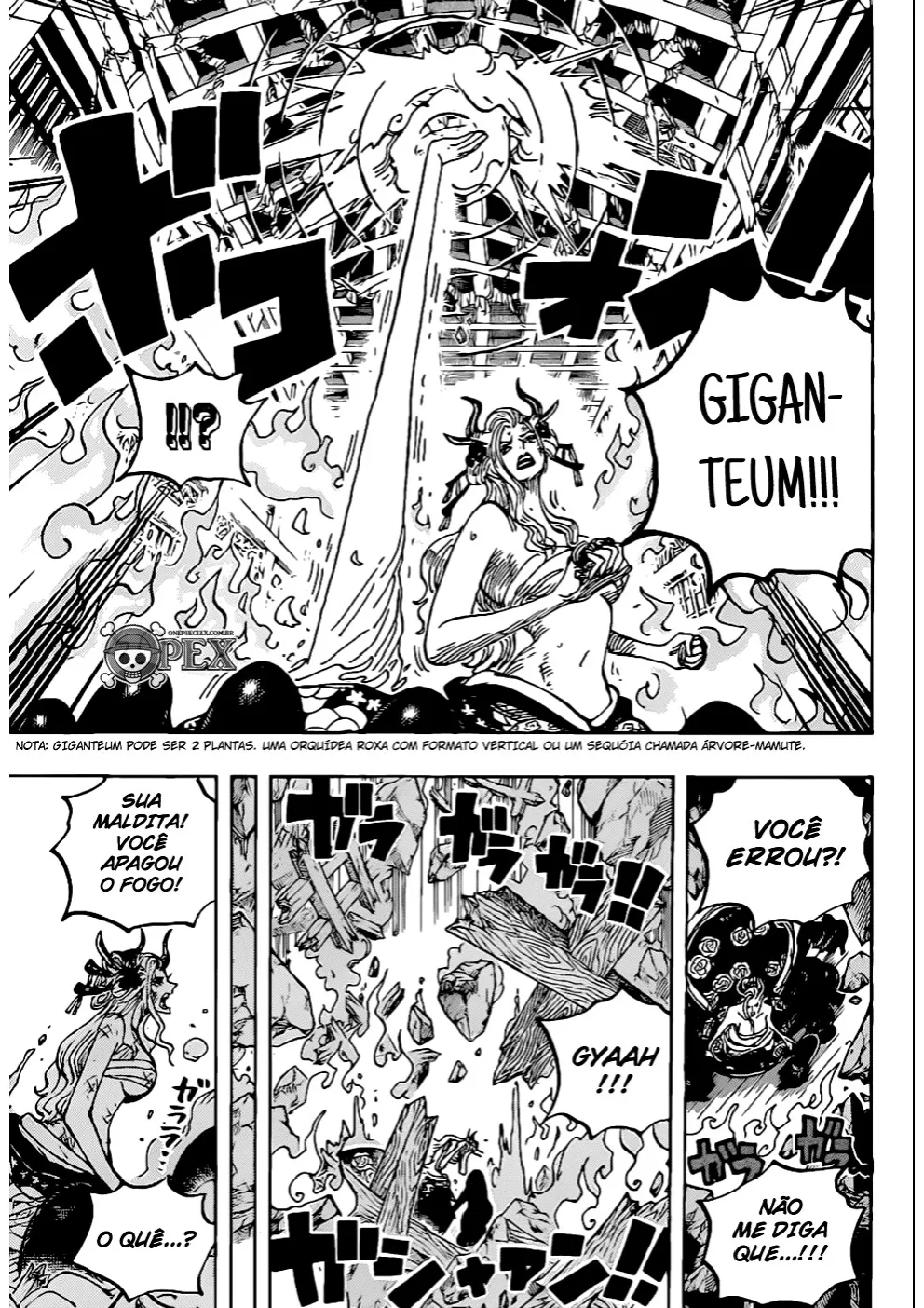 Read One Piece pt_BR Manga Online