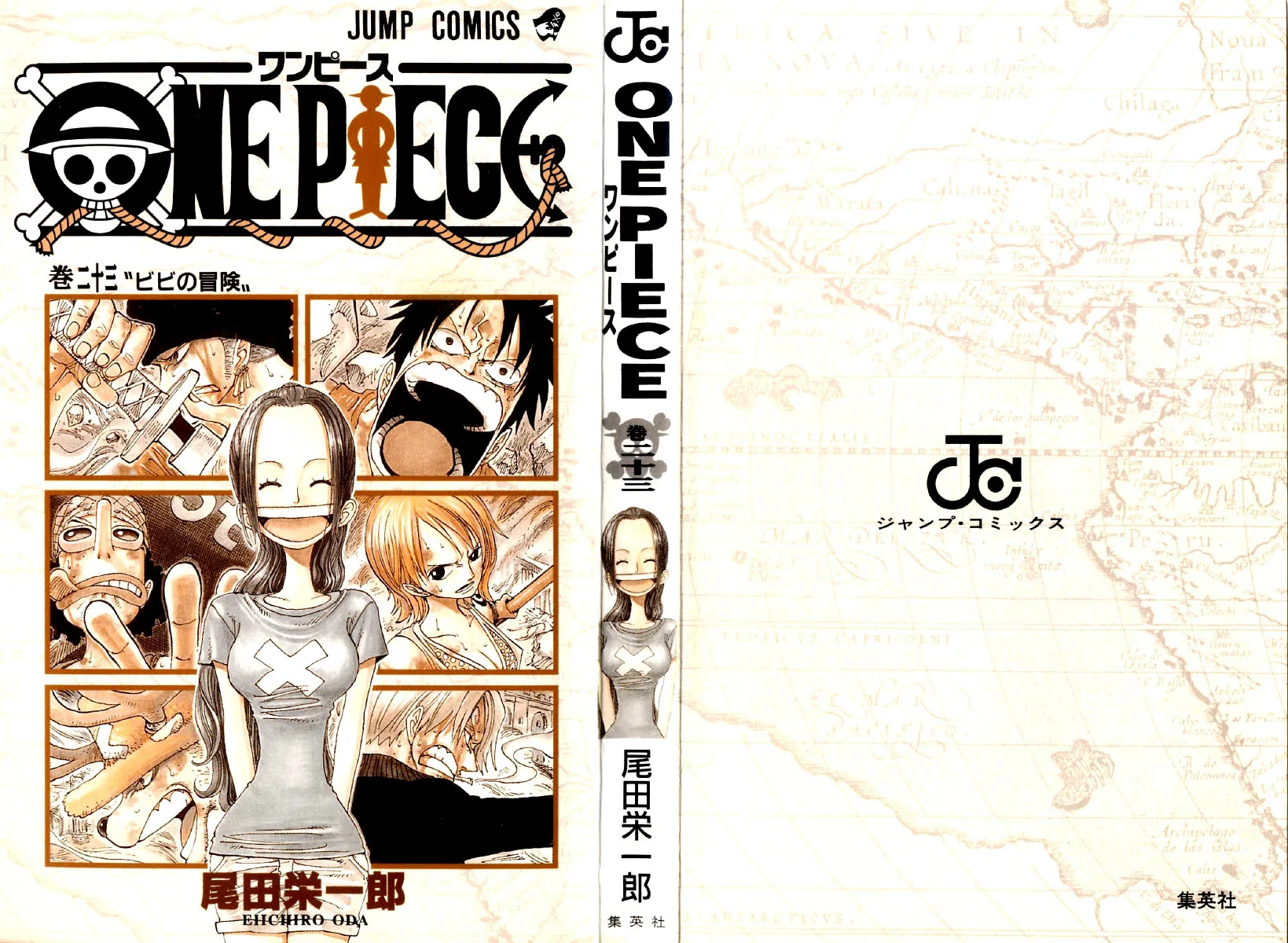 Read One Piece pt_BR Manga Online