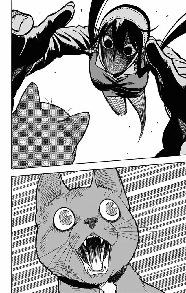 Read Spy X Family pt_BR Manga Online