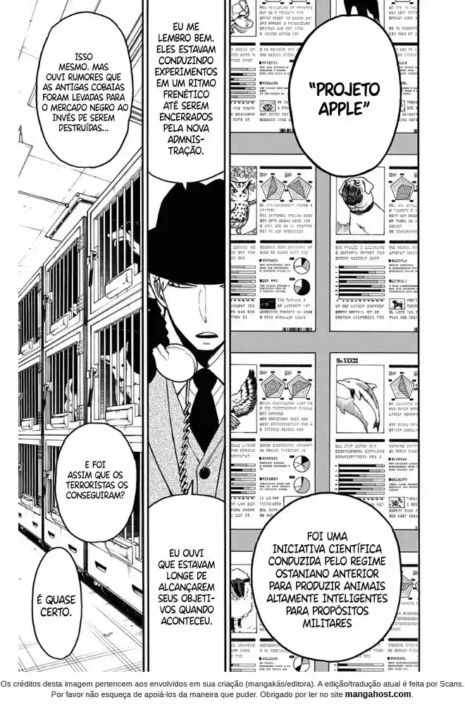 Read Spy X Family pt_BR Manga Online
