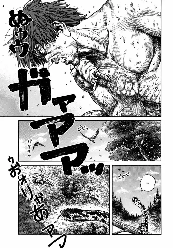 Read Vinland Saga pt_BR Manga Online